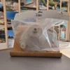 niche-de-projecteur-aquareva-sp93
