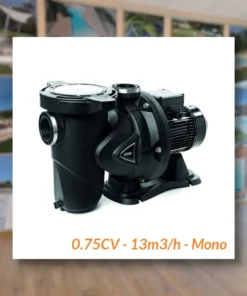 pompe-dab-0.75cv-13m3h-mono