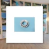 roulement-roue-e-tmoteur-zodiax-mx8
