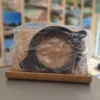 bride-de-couvercle-ppe-pompe-superflo-pentair
