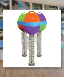 thermometre-piscine-oeuf